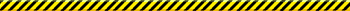 rayas.gif (8260 bytes)